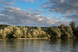 Aare-Race-2017-11